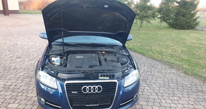Audi A3 cena 31999 przebieg: 260569, rok produkcji 2010 z Piotrków Kujawski małe 781